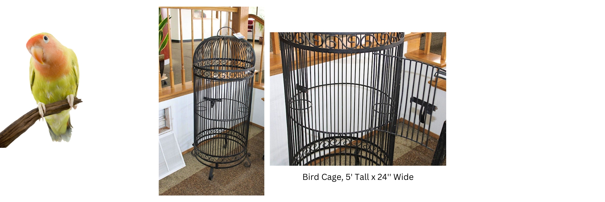 Bird Cage, 5' Tall x 24'' Wide